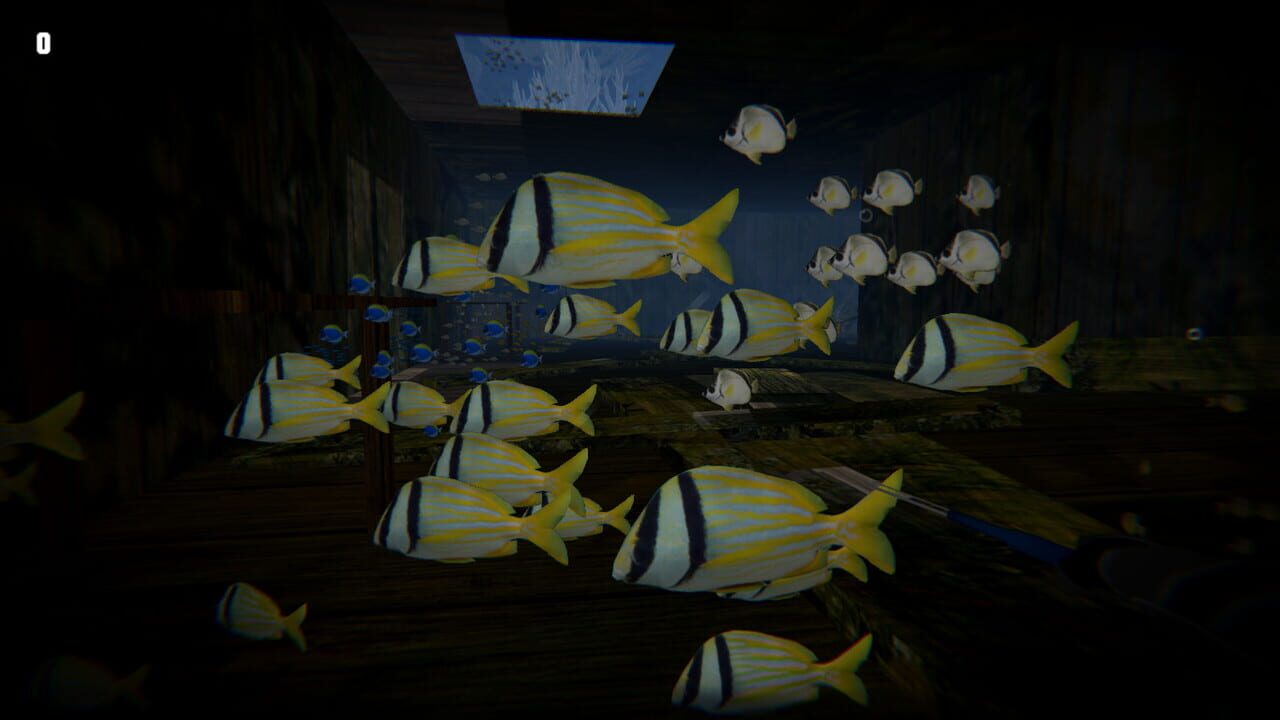 Lionfish Reef Patrol Image