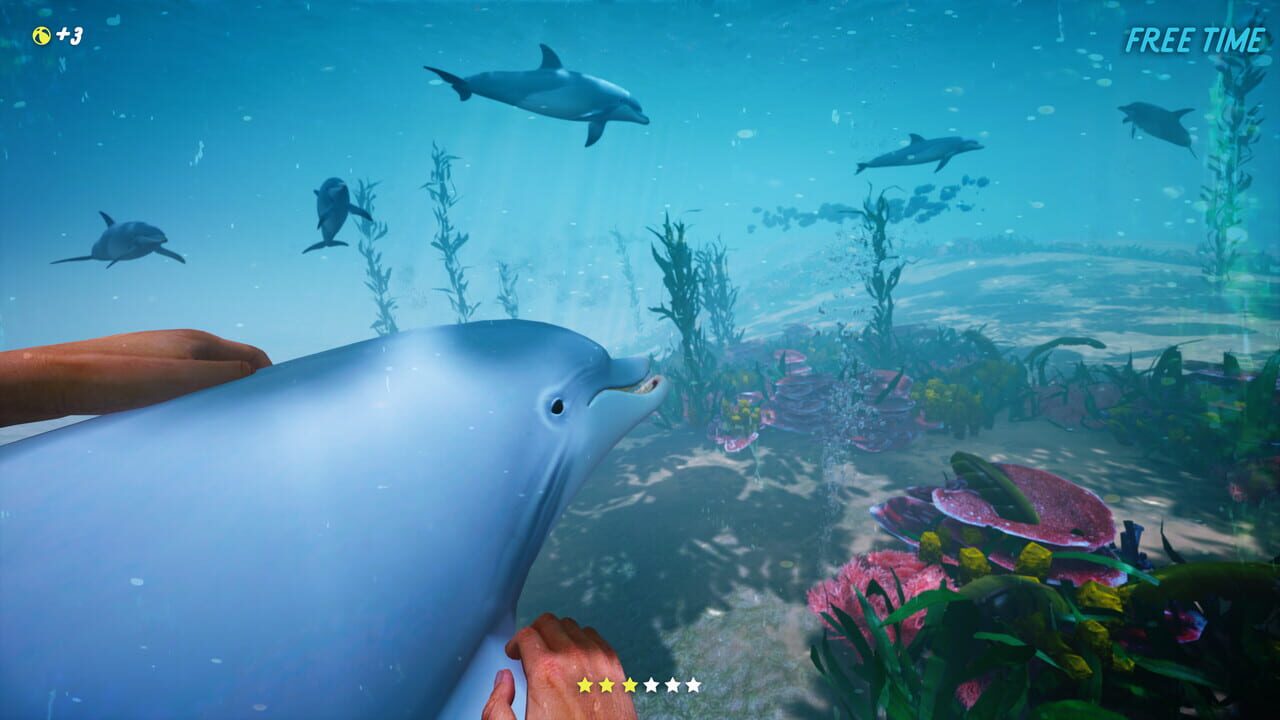 Dolphin Trainer VR — Screenshot 1