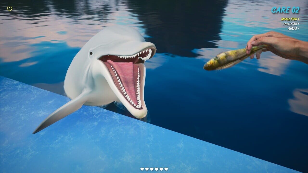 Dolphin Trainer VR — Screenshot 5