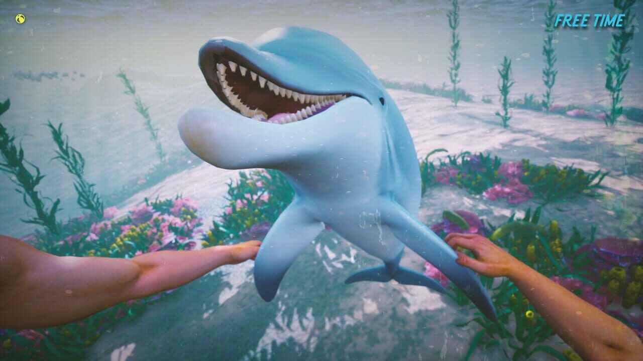 Dolphin Trainer VR — Screenshot 4