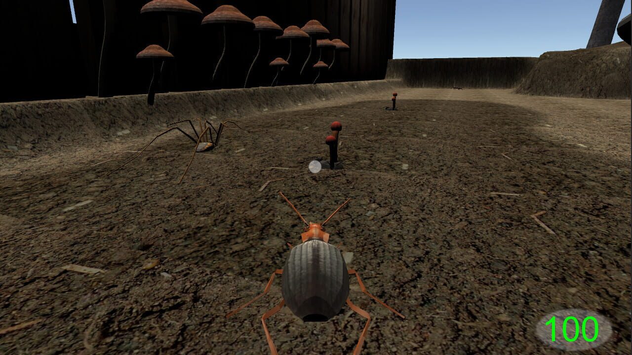 Insect: Bombardier beetle — Screenshot 2