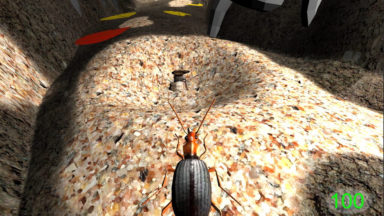 Insect: Bombardier beetle — Screenshot 4