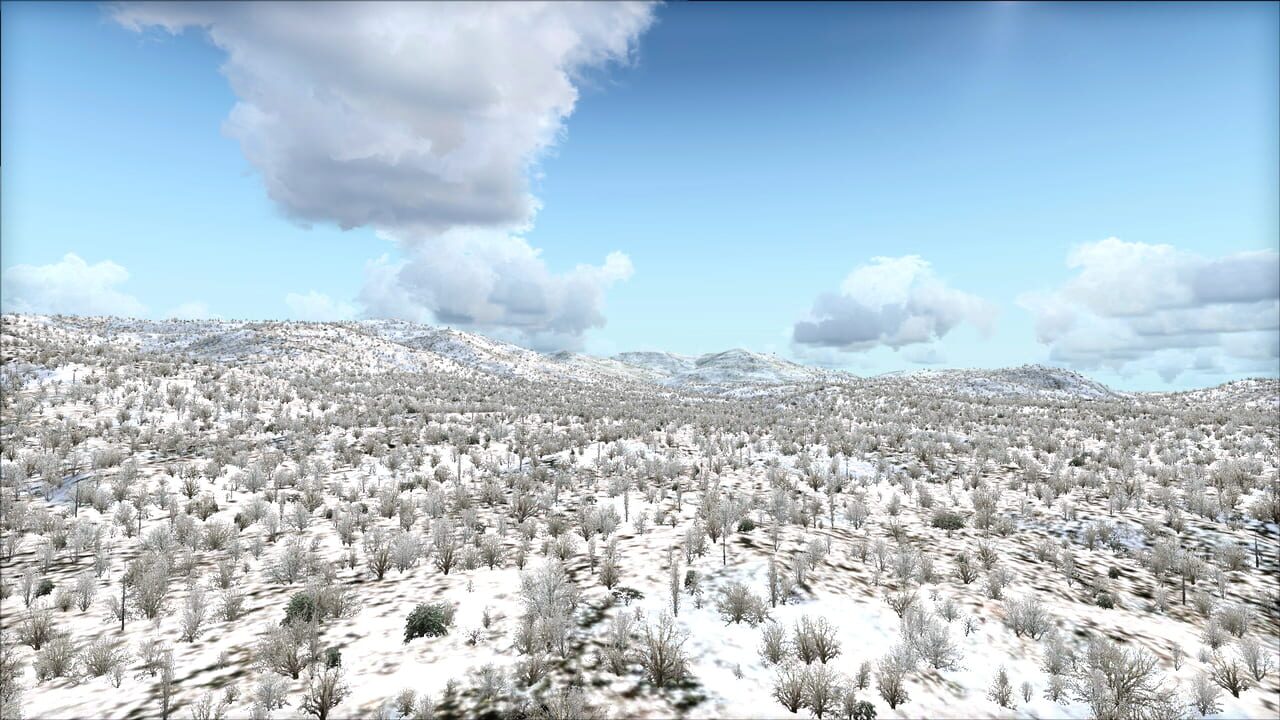 Microsoft Flight Simulator X: Steam Edition - Toposim US Northeast Image