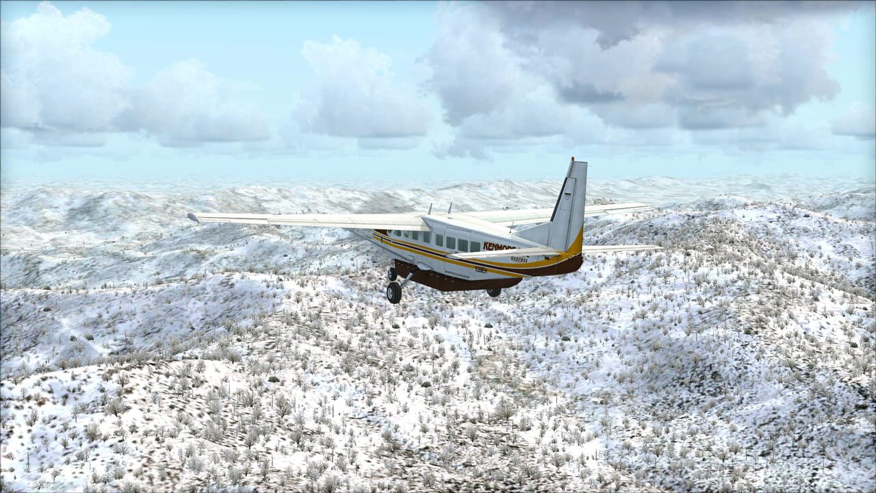 Microsoft Flight Simulator X: Steam Edition - Toposim US Northeast Image