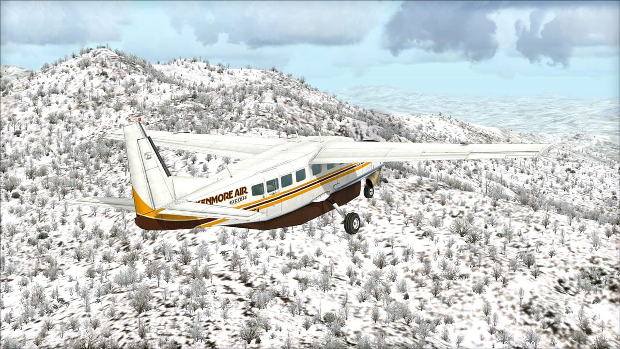 Microsoft Flight Simulator X: Steam Edition - Toposim US Northeast Image