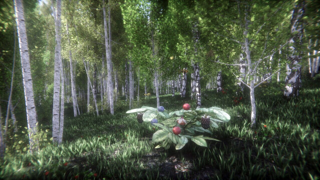Berries Challenge — Screenshot 1