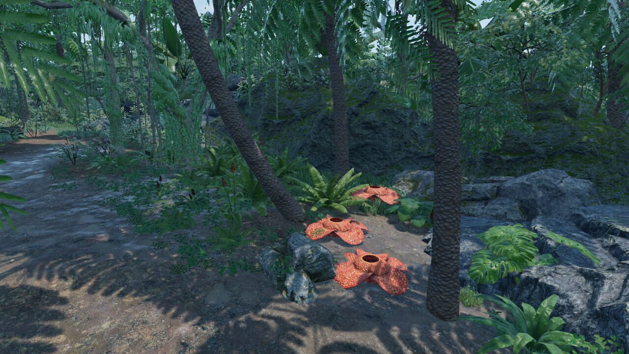 Beach Relaxation VR — Screenshot 5