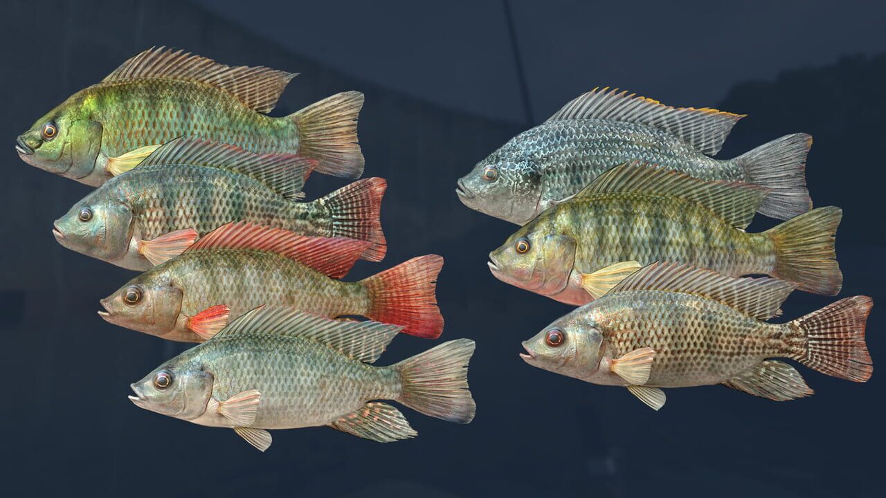 Ultimate Fishing Simulator VR: Kariba Dam Image