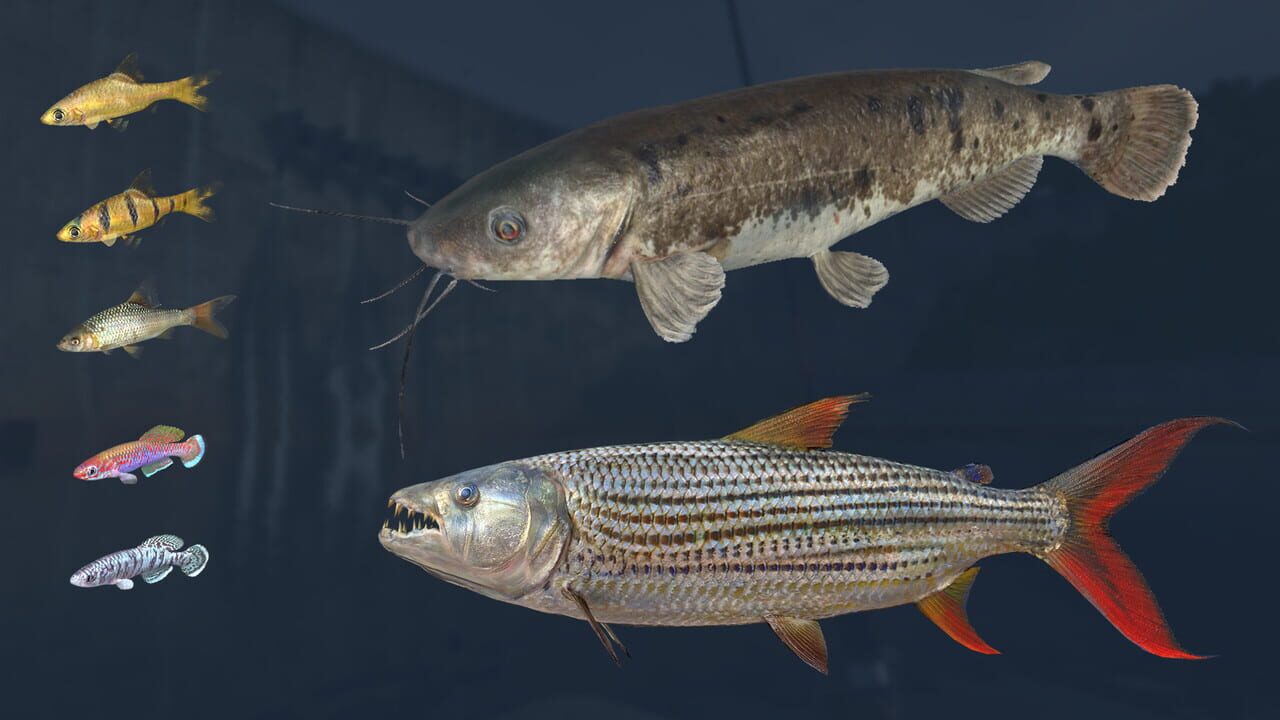 Ultimate Fishing Simulator VR: Kariba Dam Image