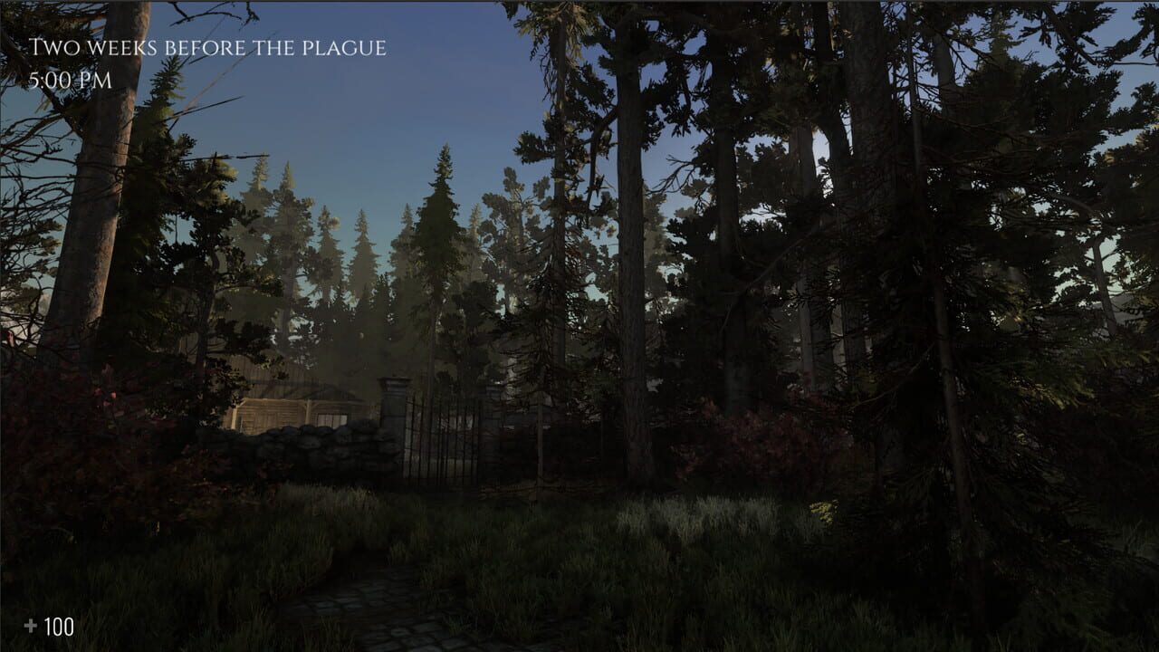 Beyond the Evil Image