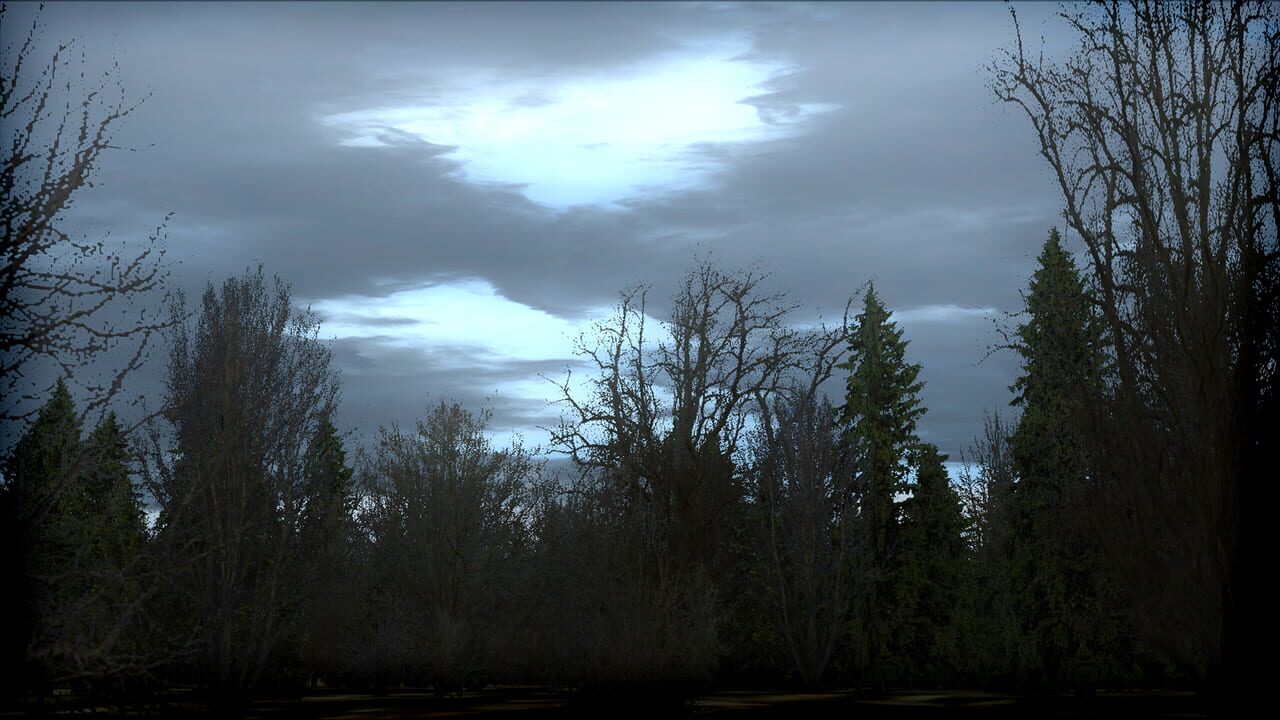 Microsoft Flight Simulator X: Steam Edition - FTX Trees HD Image