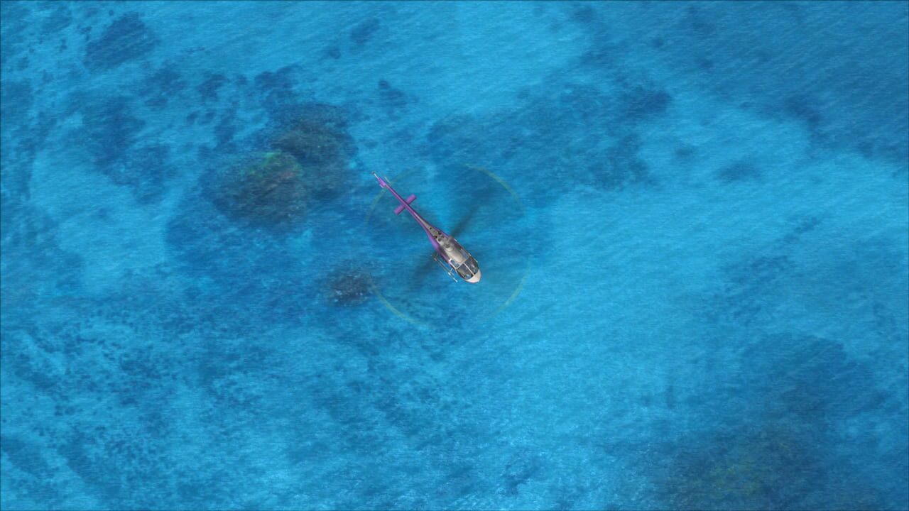 Microsoft Flight Simulator X: Steam Edition - REX 4 Texture Direct Enhanced Edition Image