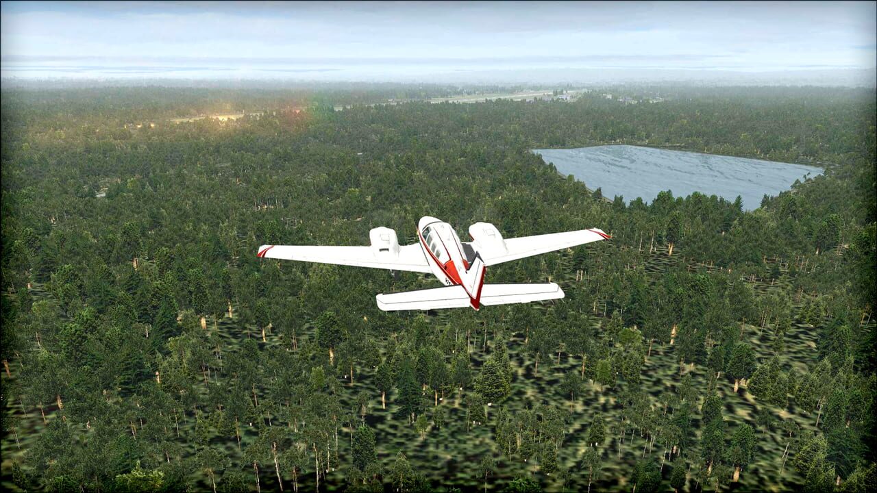 Microsoft Flight Simulator X: Steam Edition - Natural Tree Environment X Image
