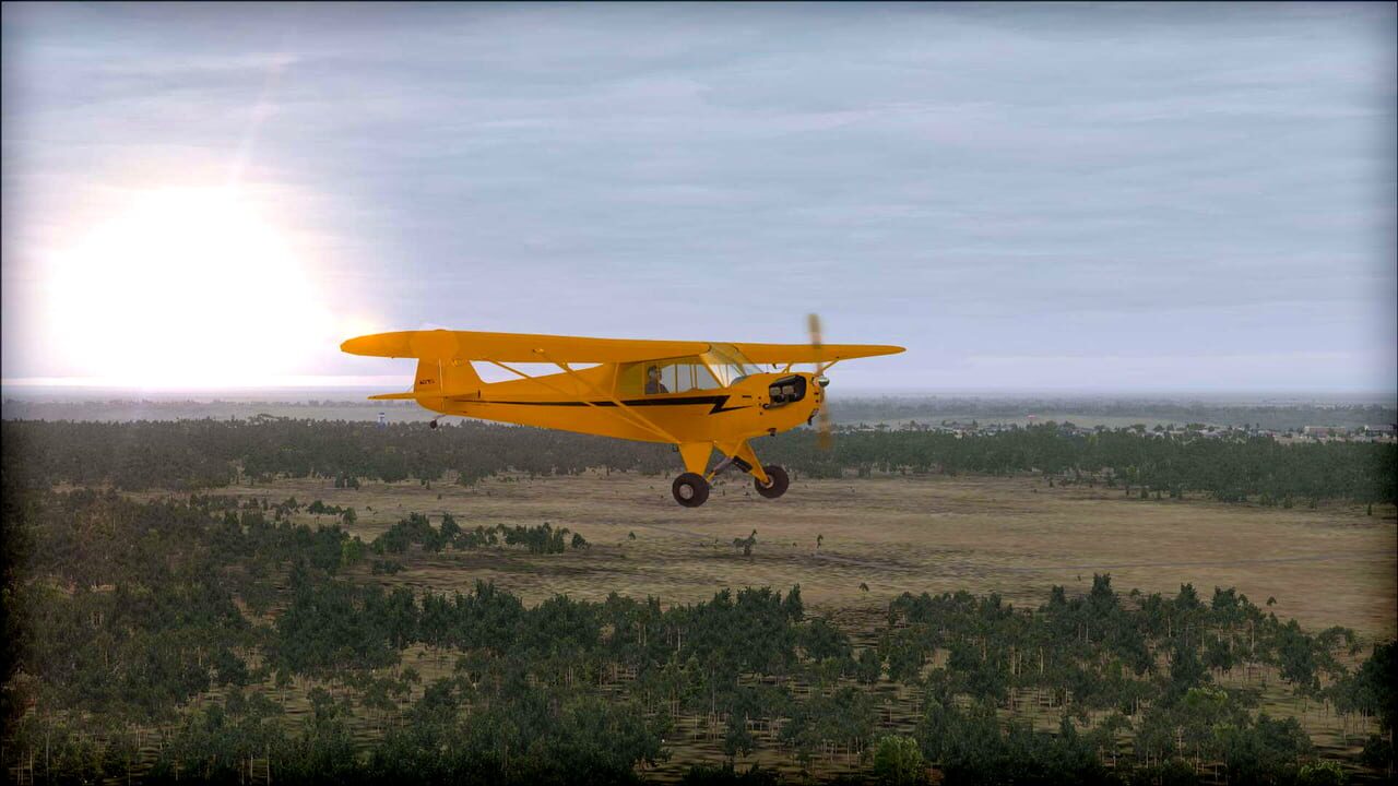 Microsoft Flight Simulator X: Steam Edition - Natural Tree Environment X Image