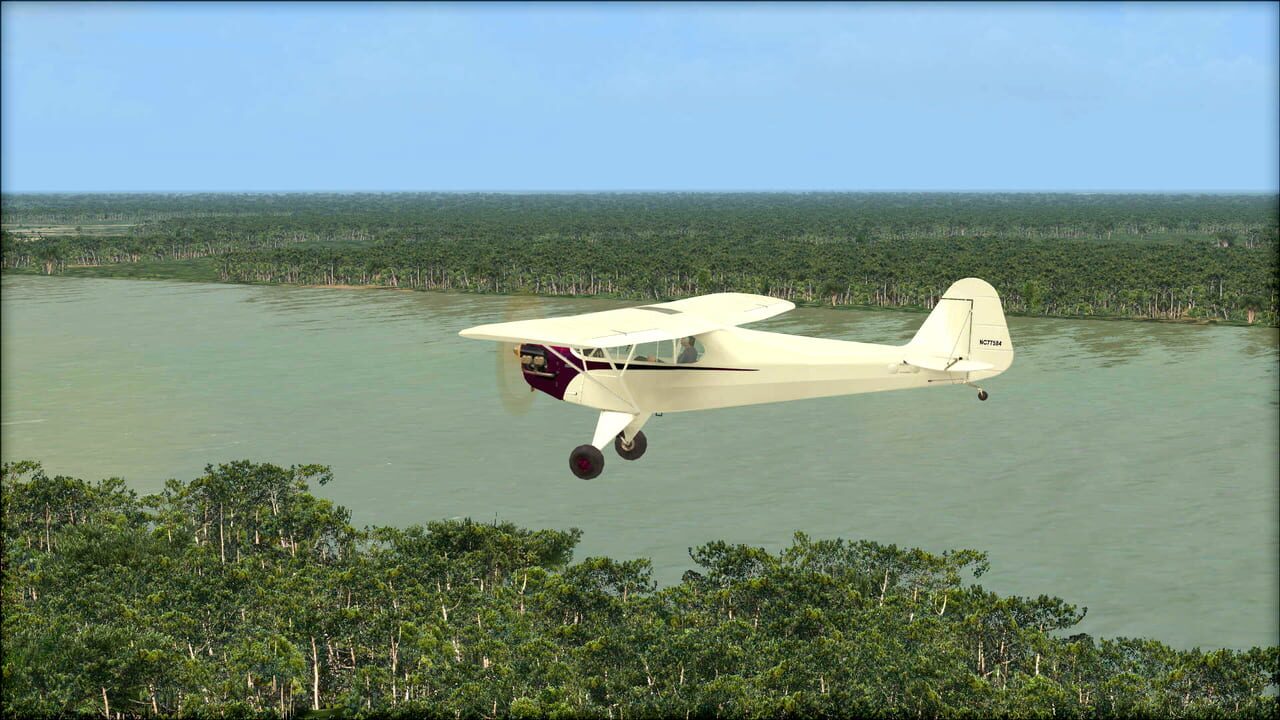 Microsoft Flight Simulator X: Steam Edition - Natural Tree Environment X Image