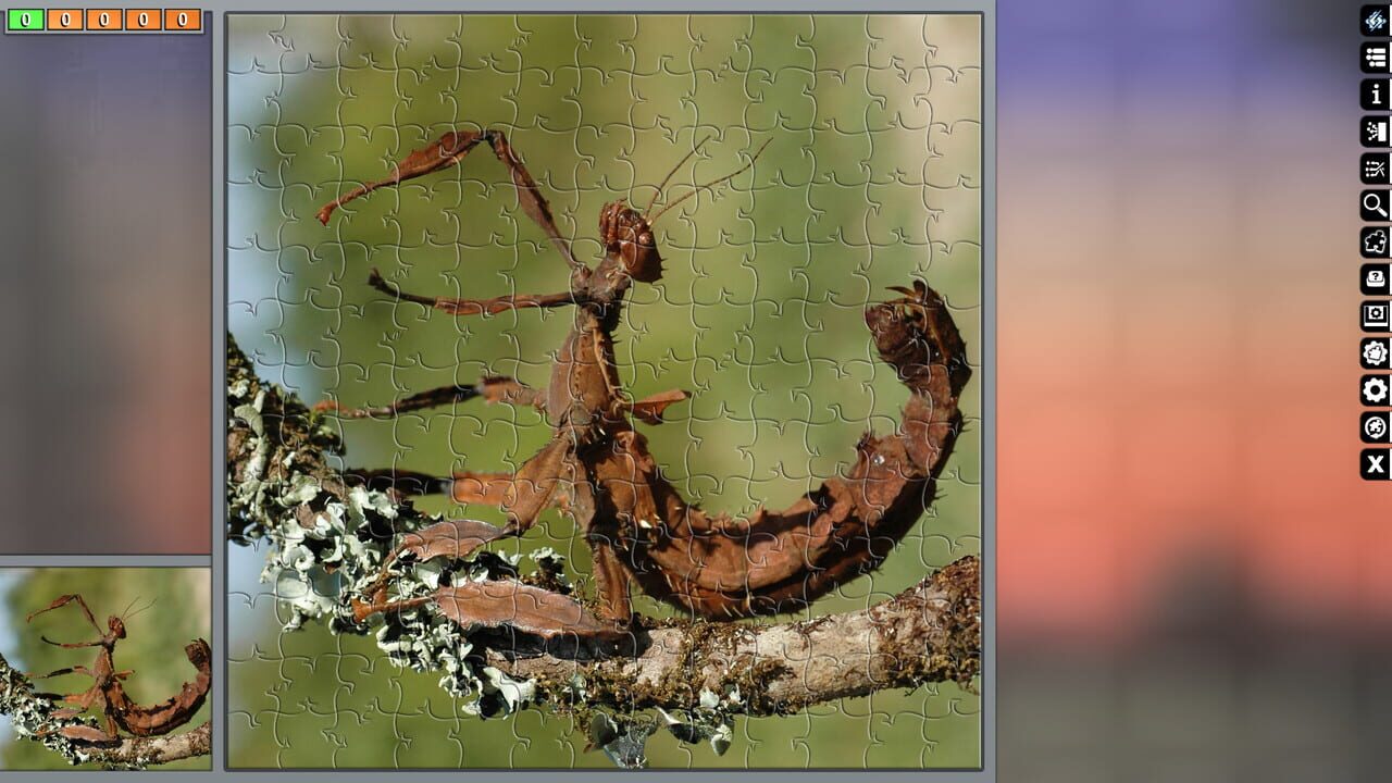 Pixel Puzzles Ultimate: Australia Image