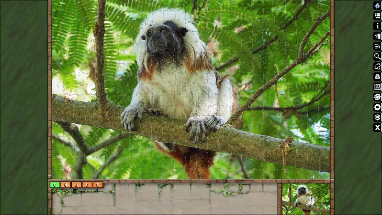 Pixel Puzzles Ultimate: Primates Image