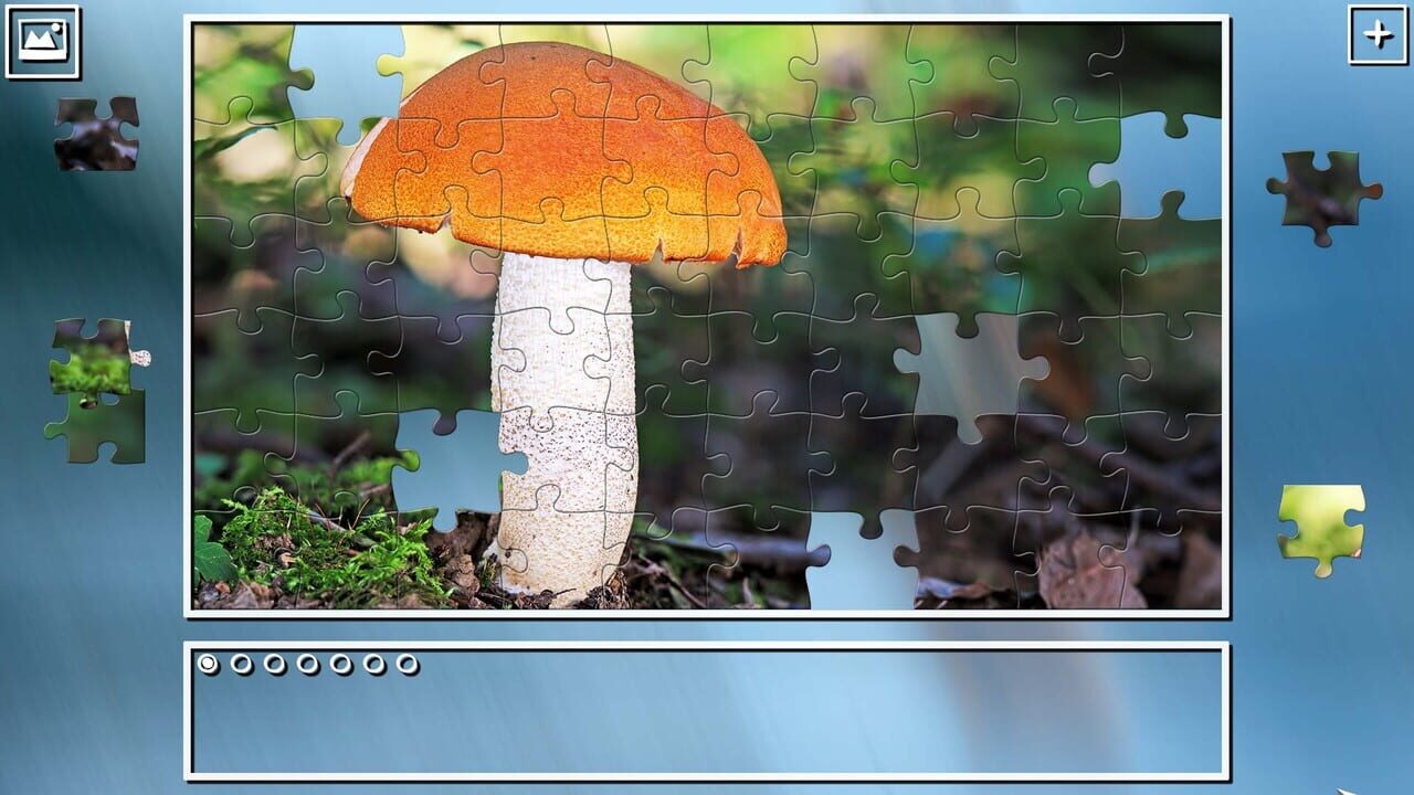 Super Jigsaw Puzzle: Generations - Mushrooms Image