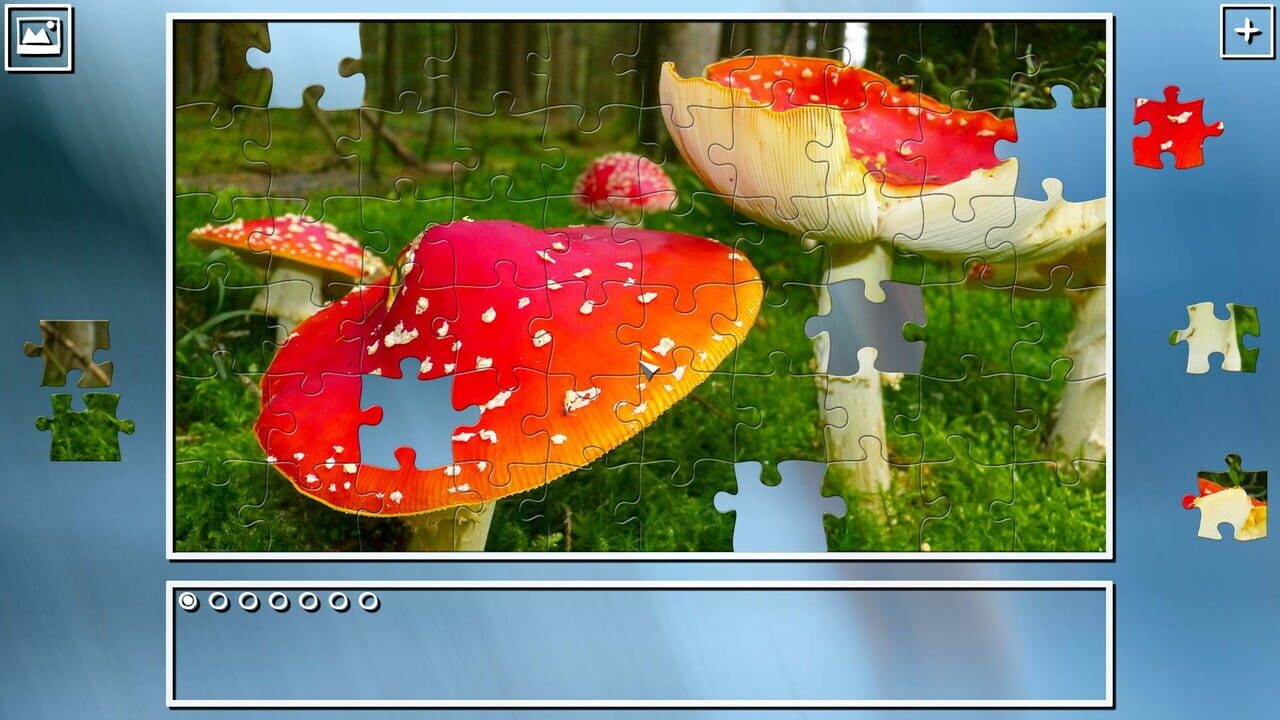 Super Jigsaw Puzzle: Generations - Mushrooms Image