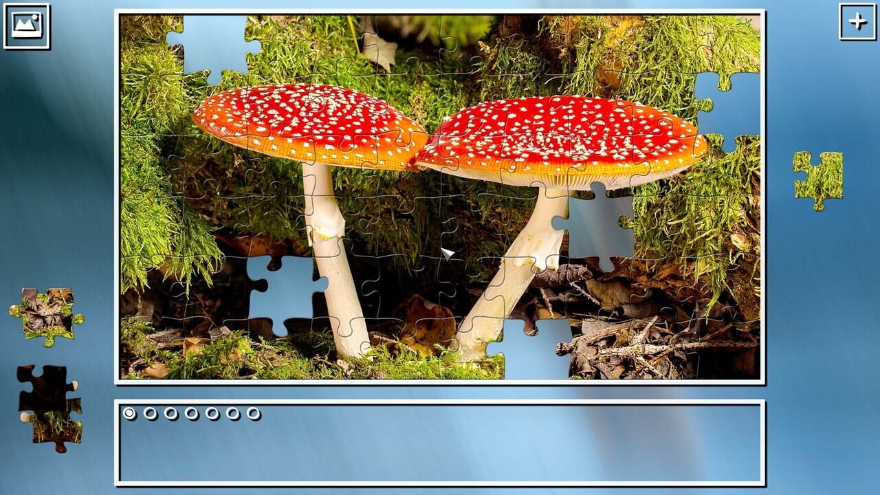 Super Jigsaw Puzzle: Generations - Mushrooms Image