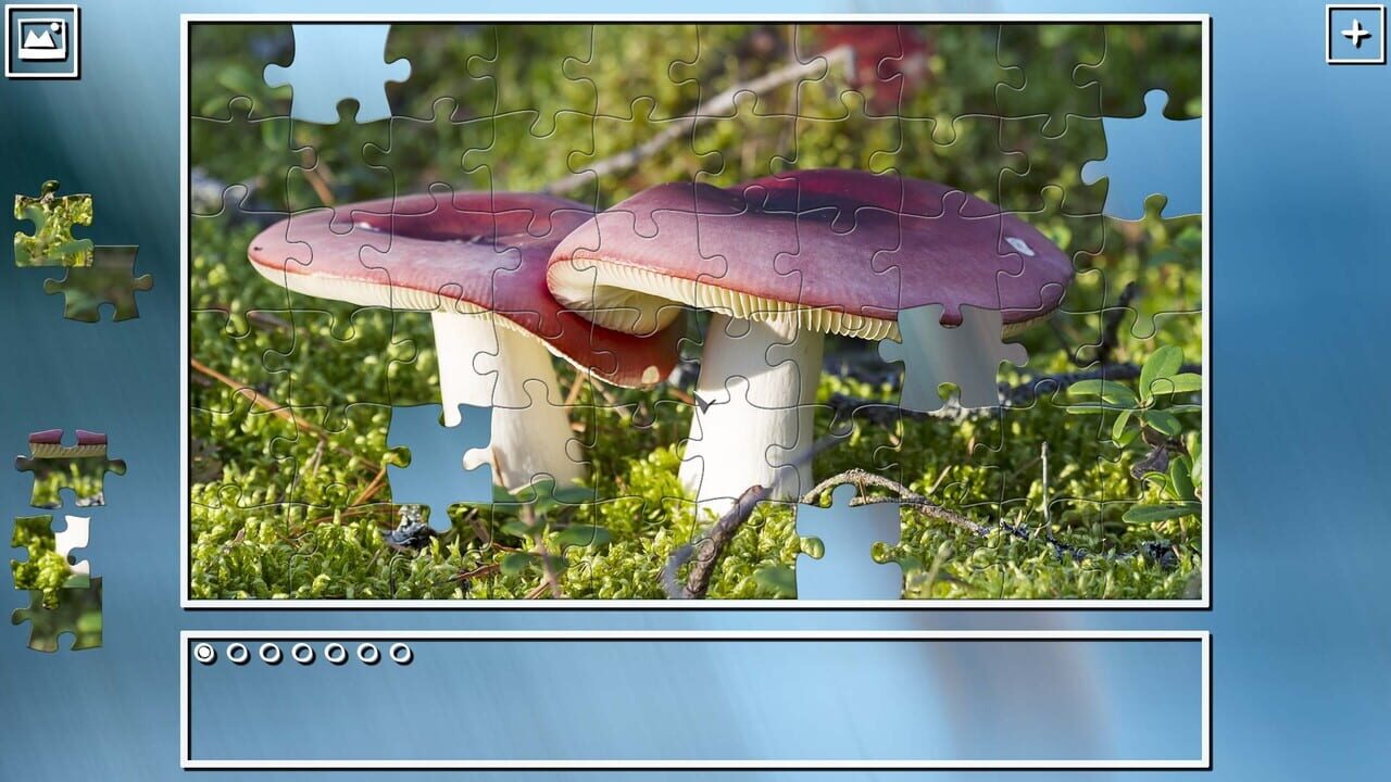 Super Jigsaw Puzzle: Generations - Mushrooms Image