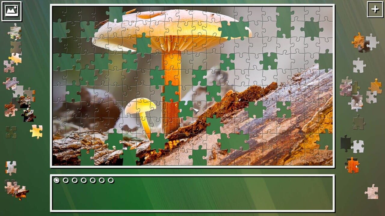 Super Jigsaw Puzzle: Generations - Mushrooms Image