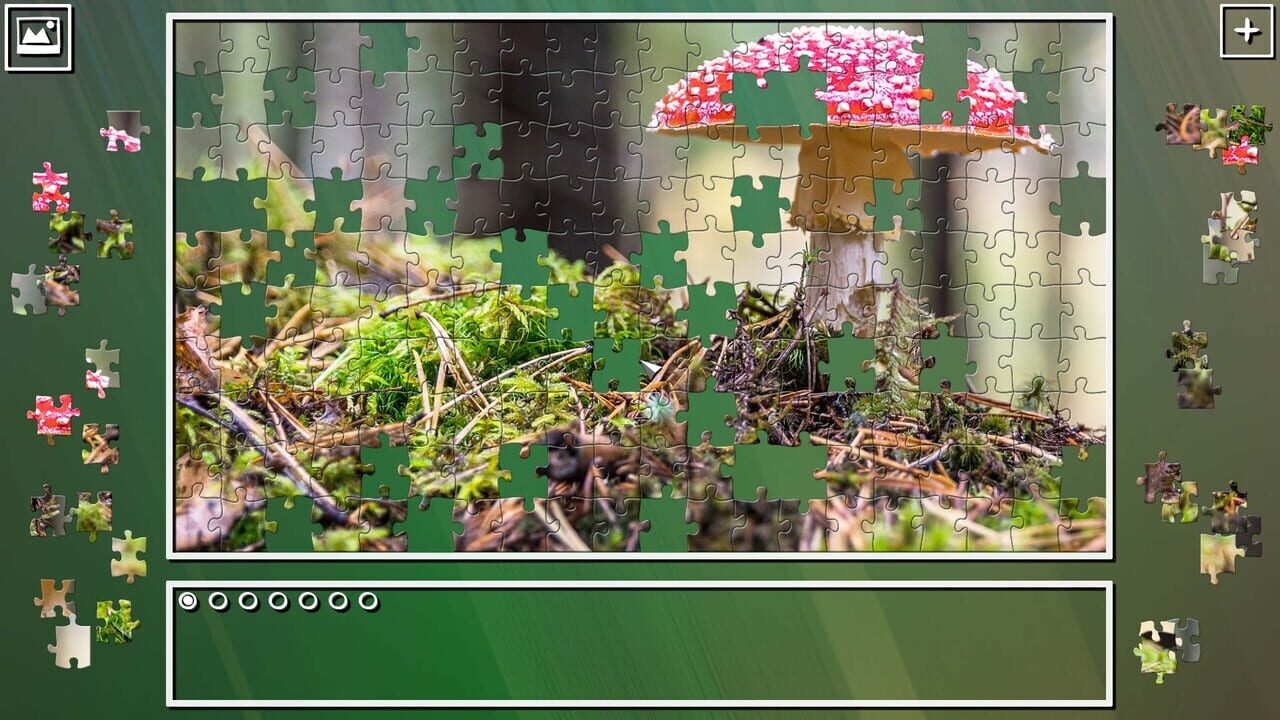 Super Jigsaw Puzzle: Generations - Mushrooms Image