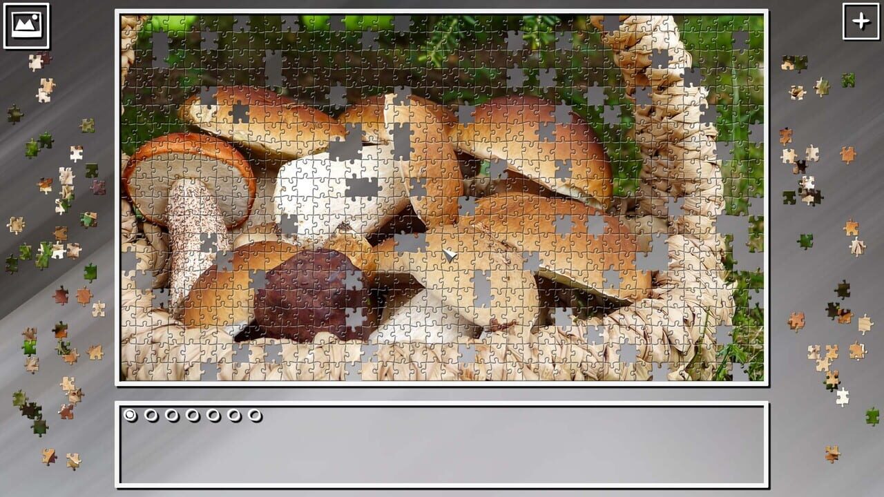 Super Jigsaw Puzzle: Generations - Mushrooms Image