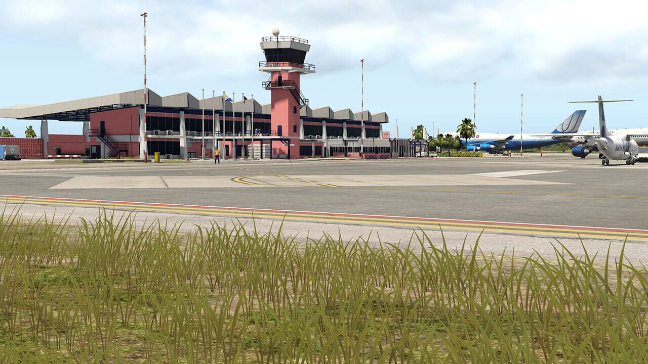 X-Plane 11: Aerosoft - Airport Bonaire Flamingo Image