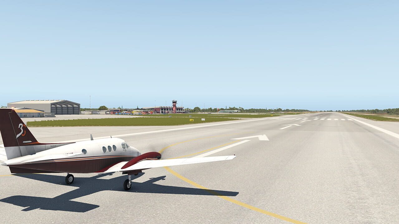 X-Plane 11: Aerosoft - Airport Bonaire Flamingo Image