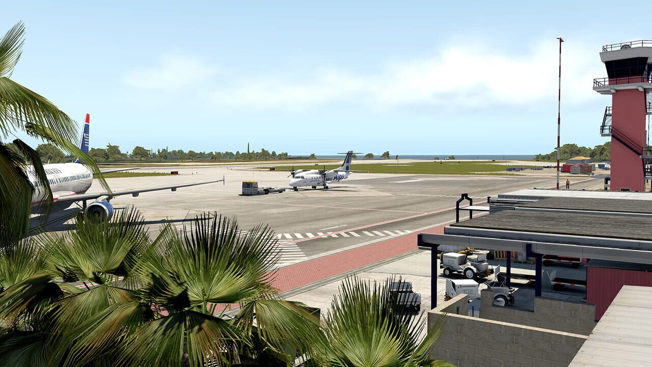 X-Plane 11: Aerosoft - Airport Bonaire Flamingo Image