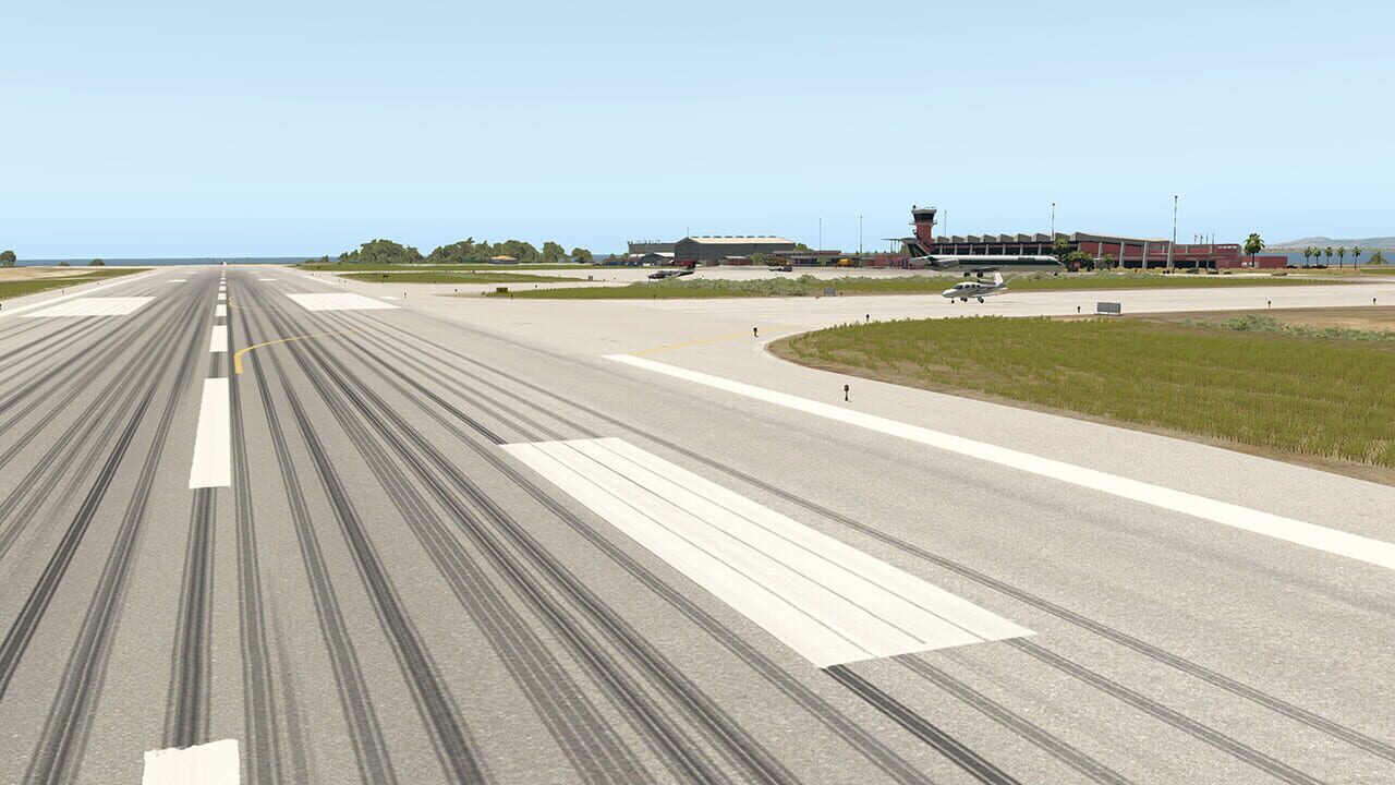 X-Plane 11: Aerosoft - Airport Bonaire Flamingo Image