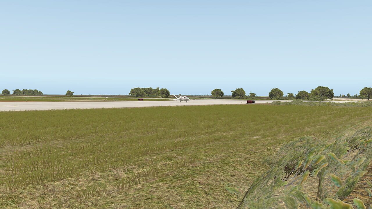 X-Plane 11: Aerosoft - Airport Bonaire Flamingo Image