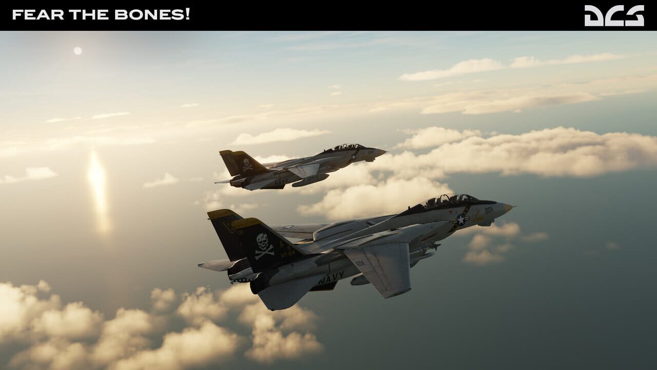 DCS World: F-14A Fear the Bones Campaign Image