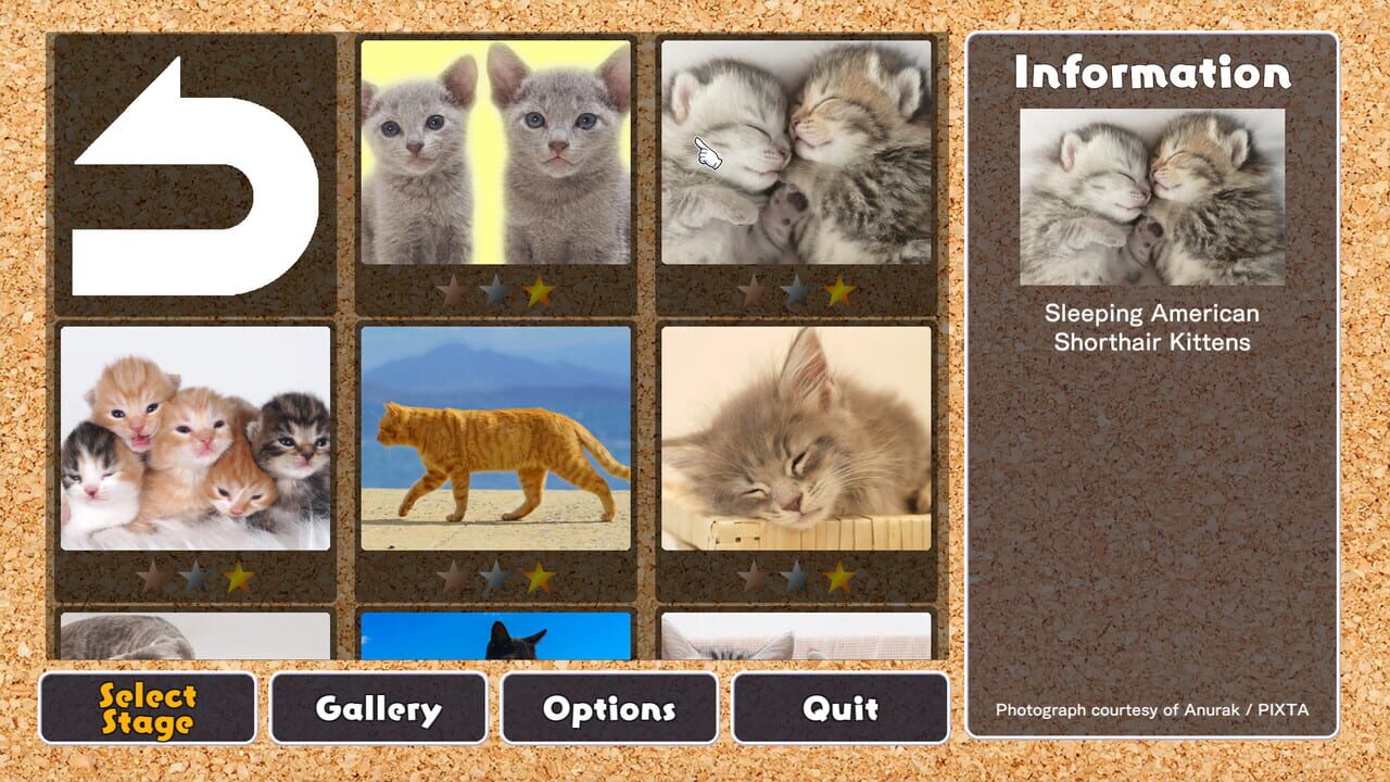 Jigsaw Masterpieces: Cute Lovely Cats Image