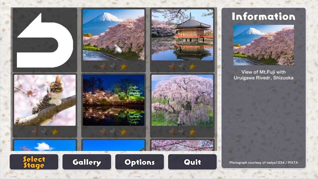 Jigsaw Masterpieces: Sakura - Japanese Cherry Blossoms Image