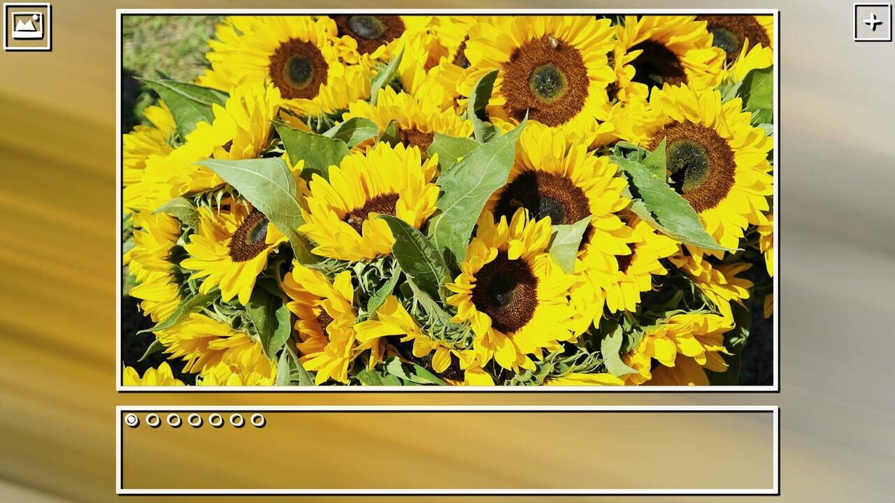 Super Jigsaw Puzzle: Generations - Random Puzzles Image