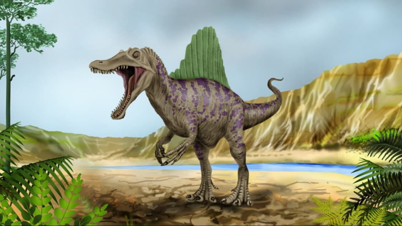 Dinosaur Fossil Puzzles — Screenshot 5
