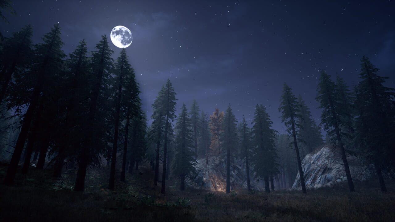 Nightwalker Image