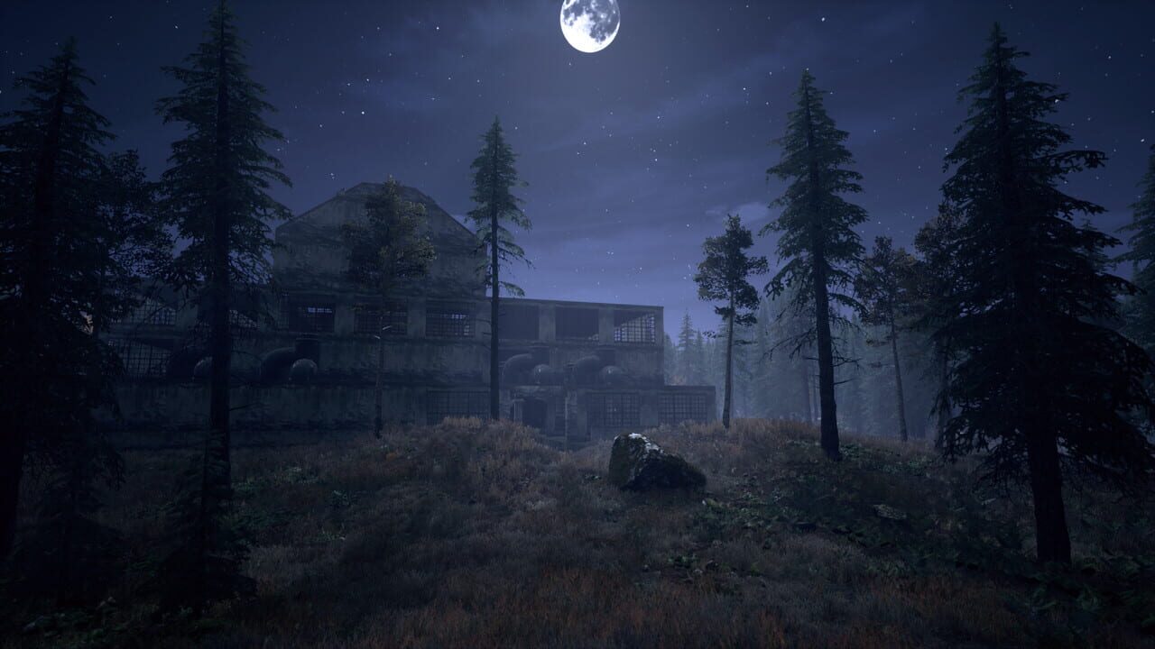 Nightwalker Image