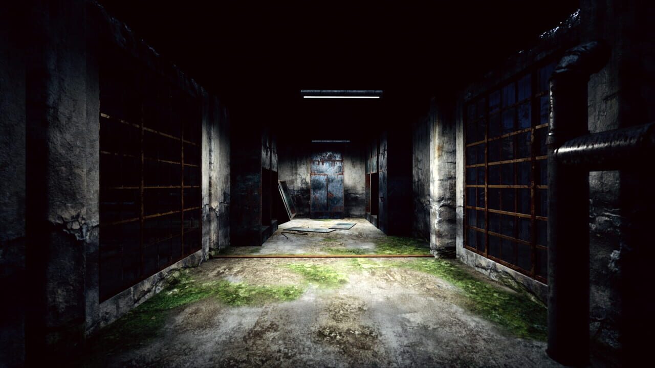 Nightwalker Image