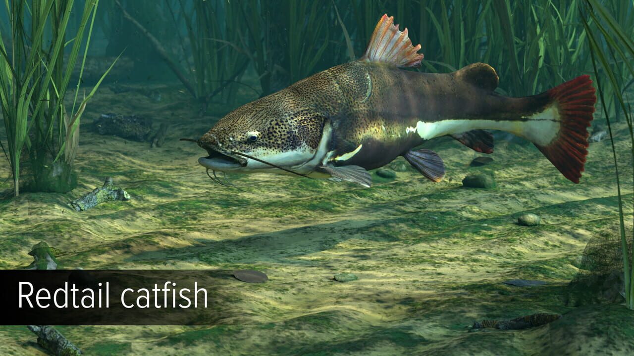 Ultimate Fishing Simulator: Amazon River DLC — Screenshot 3