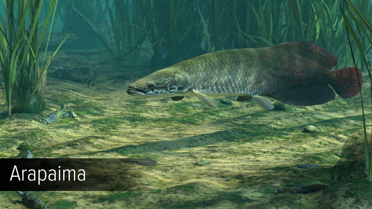 Ultimate Fishing Simulator: Amazon River DLC — Screenshot 4