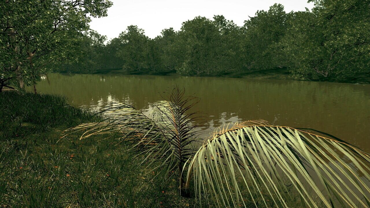 Ultimate Fishing Simulator: Amazon River DLC Image
