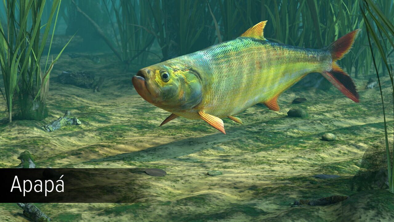 Ultimate Fishing Simulator: Amazon River DLC Image