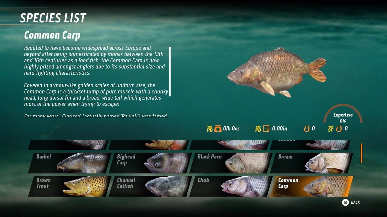 Fishing Sim World: Pro Tour + The Catch: Carp & Coarse Image