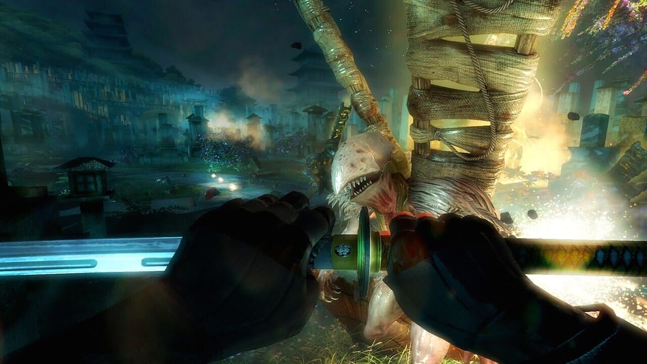 Shadow Warrior Collection Image