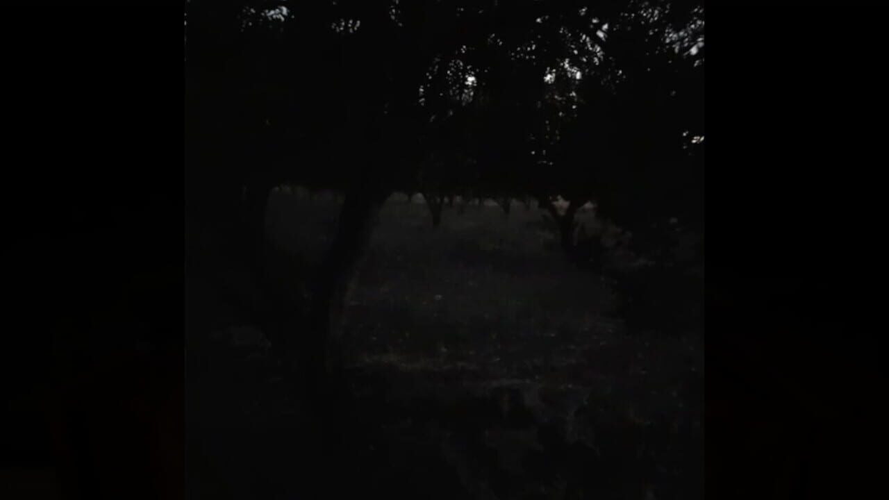 KaraDedeler 1989 — Screenshot 1