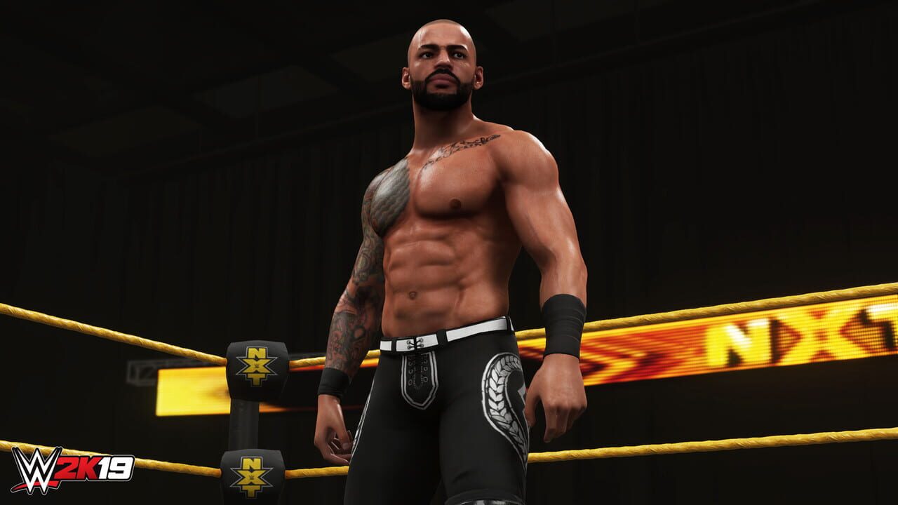 WWE 2K19: Rising Stars Image