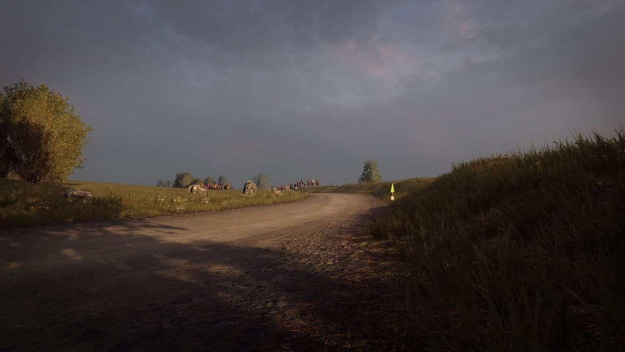 DiRT Rally 2.0: Germany (Rally Location) Image